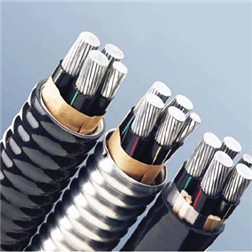 Cable Armored Aluminum Strip